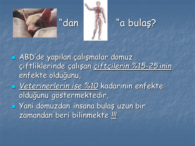 “dan             “a